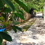 Dragica *