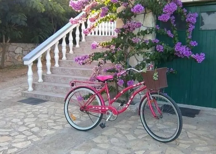 Apartmán Dragica *