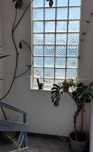 Dragica 아파트