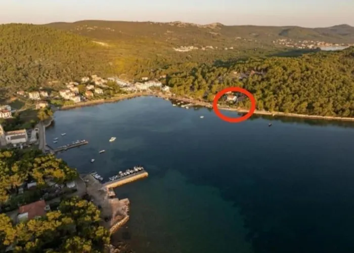 Dragica