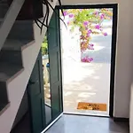 Apartment Dragica Pašman