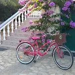 Apartman Dragica *