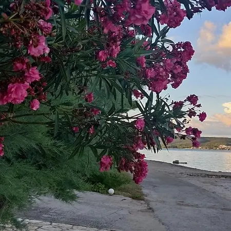 Dragica Lägenhet