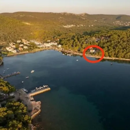 Dragica
