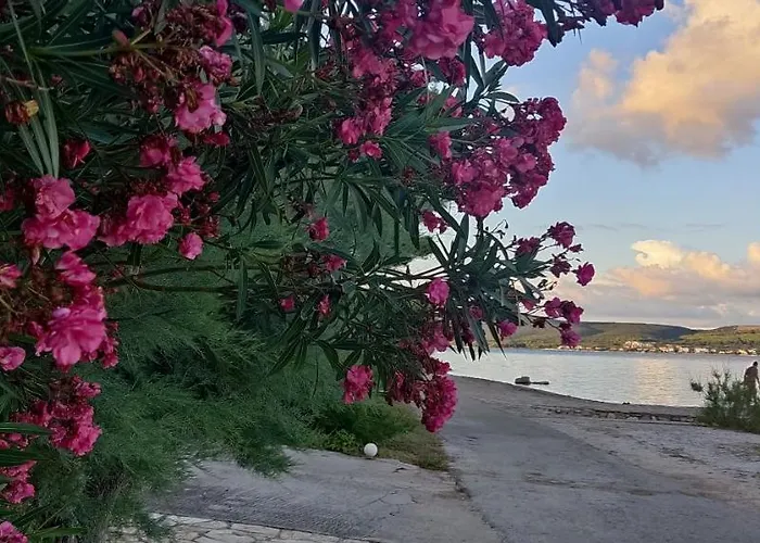 Dragica Lejlighed